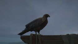 Assassin's Creed {galleryname}