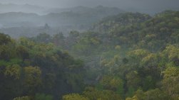 Assassin's Creed {galleryname}