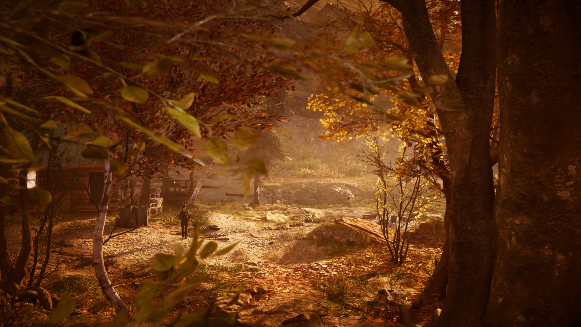 Assassin's Creed Valhalla | Screenshots von Solena (Windows)